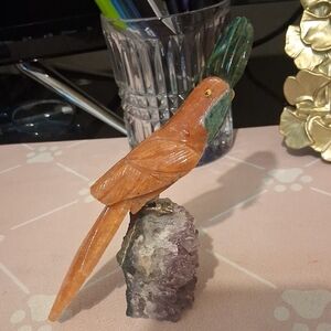 Beatiful Stone Macaw